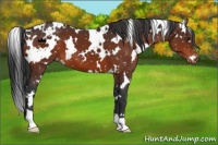 Horse Color:White Spotted Brown Snowflake Varnish