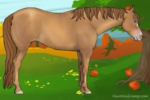 Horse Color:Gray Gold Champagne Roan