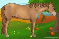 Horse Color:Gray Gold Champagne Roan