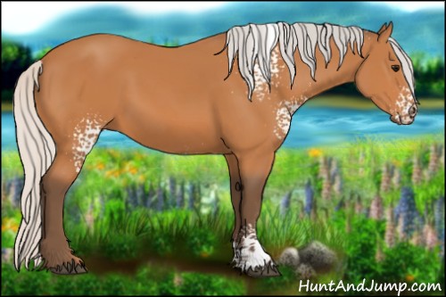 Horse Color:White Spotted Silver Bay 