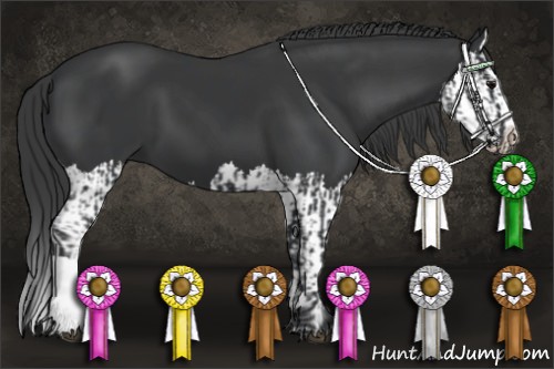 Horse Color:Black and Black Splash
