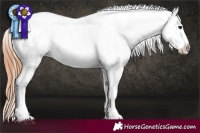 Horse Color:Black Splash Tobiano Appaloosa  and Black Splash Tobiano Appaloosa 