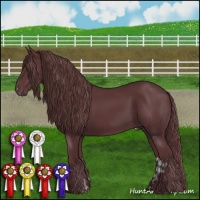 Horse Color:Chocolate Black Appaloosa  and Chocolate Black 