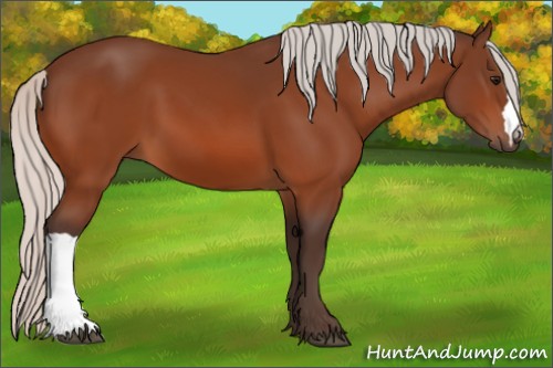 Horse Color:Silver Bay
