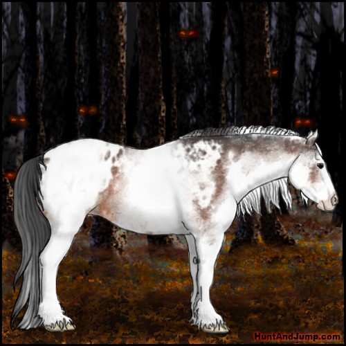 Horse Color:White Spotted Bay Roan Blanket 