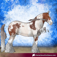 Horse Color:White Spotted Chocolate Bay Splash Rabicano  and White Spotted Chocolate Bay Dun Splash Rabicano 