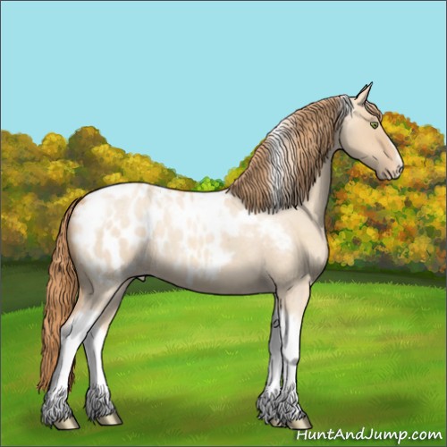 Horse Color:Gold Champagne Roan Dun Splash Tobiano Frame Appaloosa Rabicano 