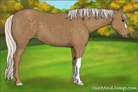 Horse Color:Silver Smoky Black 