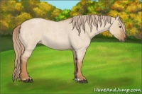 Horse Color:Red Dun Roan