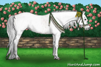 Horse Color:Gray Bay  and Gray Bay 