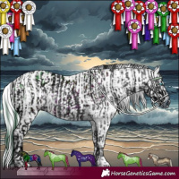 Horse Color:ERROR: UNKNOWN ANOMALY and ERROR: UNKNOWN ANOMALY