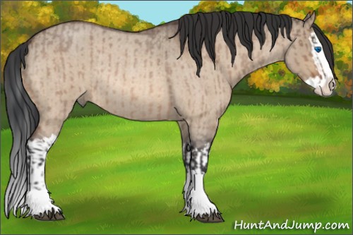 Horse Color:Bay Roan Dun Splash  and Bay Roan Dun Splash Rabicano 