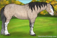 Horse Color:Bay Roan Dun Splash  and Bay Roan Dun Splash Rabicano 