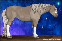 Horse Color:Silver Grullo  and Silver Grullo 