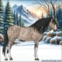 Horse Color:Brown Dun  and Brown Roan Dun 
