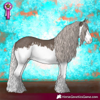 Horse Color:Silver Black Splash and Silver Black Splash
