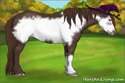 Horse Color:Liver Chestnut Frame 