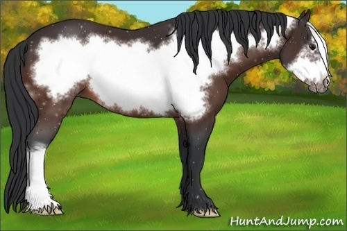 Horse Color:Brown Frame 