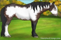 Horse Color:Brown Frame 