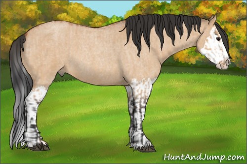 Horse Color:Bay Roan Dun Splash  and Bay Roan Dun Splash 