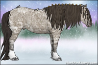 Horse Color:Smoky Grullo Ice