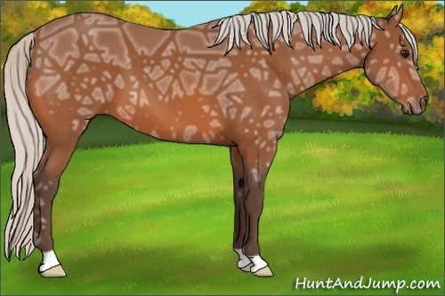 Horse Color:Silver Bay Ice 