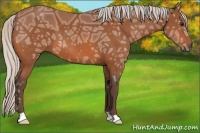 Horse Color:Silver Bay Ice 