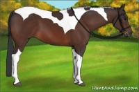 Horse Color:Bay Tobiano 