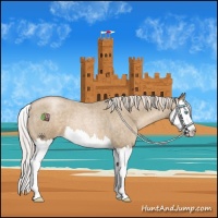Horse Color:Silver Smoky Blue Roan Pearl Splash 