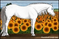 Horse Color:Liver Chestnut Frame 