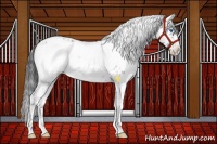 Horse Color:Liver Chestnut Frame 