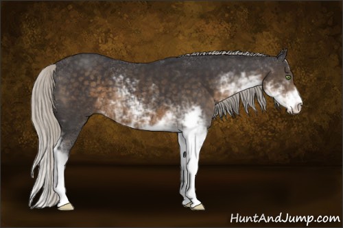 Horse Color:Silver Smoky Black Sabino 
