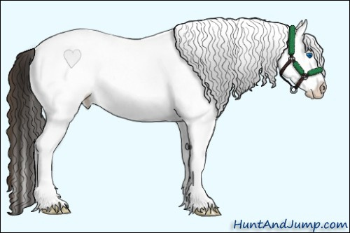 Horse Color:White Spotted Amber Champagne Roan Splash
