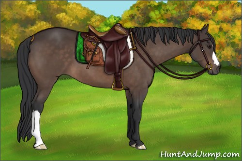 Horse Color:Brown 