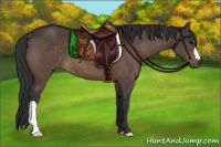 Horse Color:Brown 