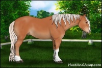 Horse Color:Silver Brown Tobiano Frame