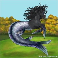 Horse Color:Black Frame 