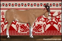 Horse Color:Chestnut Sabino