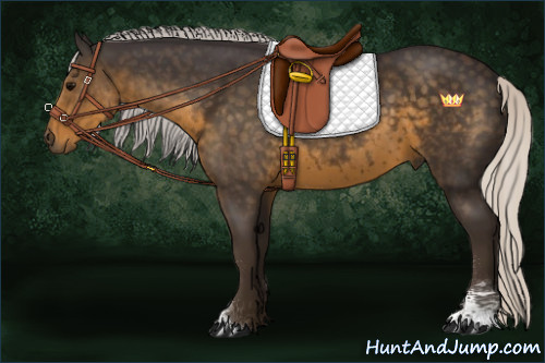 Horse Color:Silver Smoky Black Sabino 