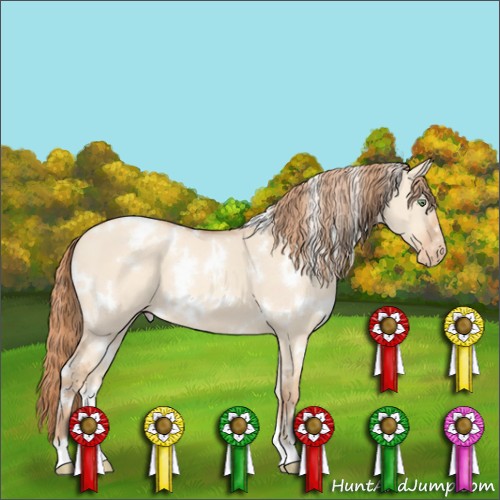 Horse Color:White Spotted Gold Champagne Dun Varnish