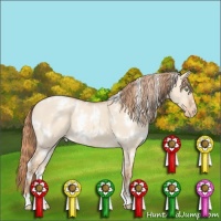 Horse Color:White Spotted Gold Champagne Dun Varnish 