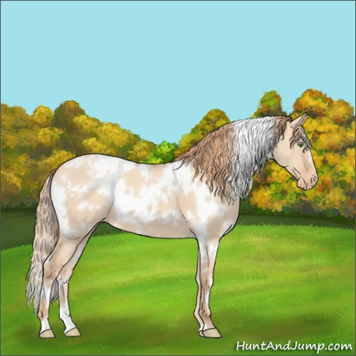 Horse Color:White Spotted Gold Champagne Dun Varnish