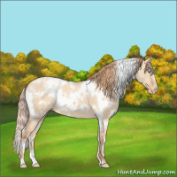 Horse Color:White Spotted Gold Champagne Dun Varnish