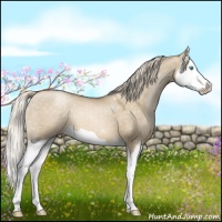 Horse Color:Chocolate Palomino Pearl Dun Splash