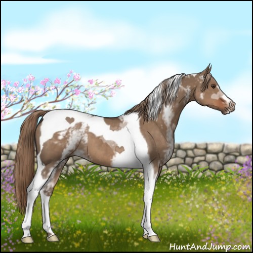 Horse Color:White Spotted Liver Red Dun Tobiano