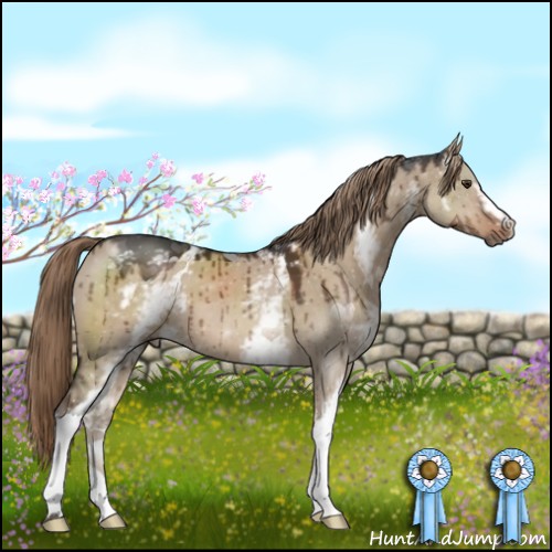 Horse Color:White Spotted Liver Red Dun Brindle 