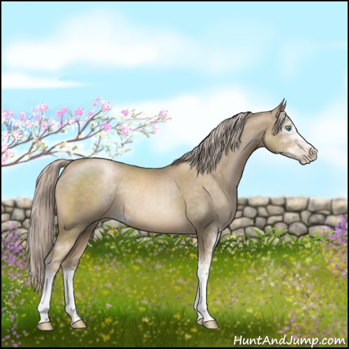 Horse Color:Chocolate Palomino Pearl Sabino