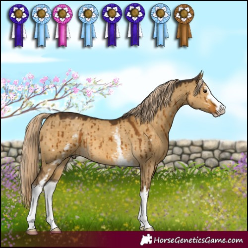Horse Color:White Spotted Chocolate Palomino Dun Sabino Brindle 