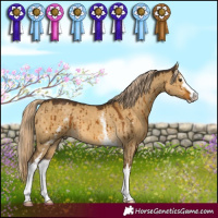 Horse Color:White Spotted Chocolate Palomino Dun Sabino Brindle