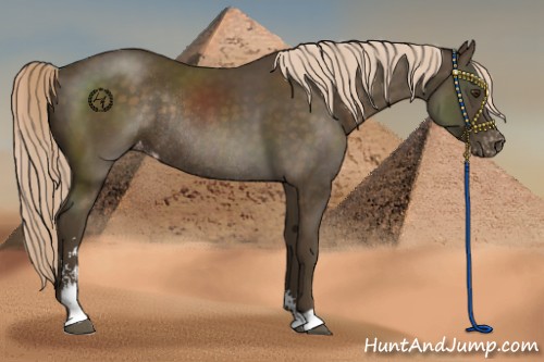 Horse Color:Chocolate Palomino Sabino Varnish Rabicano